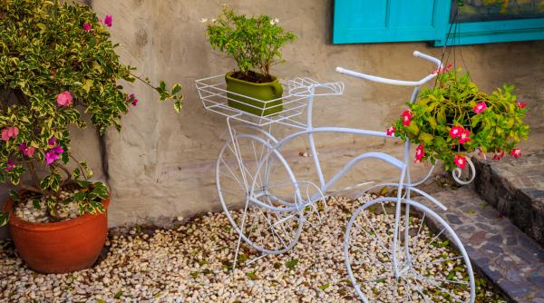 idei pentru o gradina de poveste nu arunca vechiturile ci foloseste le ca suport pentru flori