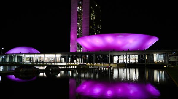 palatul cotroceni va fi iluminat in mov de ziua internationala a luptei impotriva epilepsiei