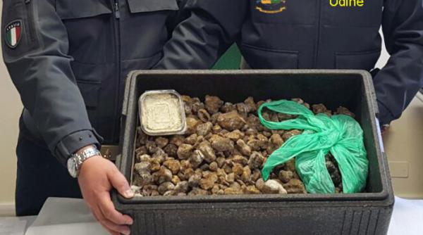 20 de kilograme de trufe din romania confiscate in italia