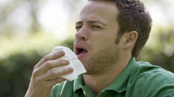 primavara sezonul alergiilor vezi unde se pot ascunde alergenii din casa ta si cum poti sa scapi de ei