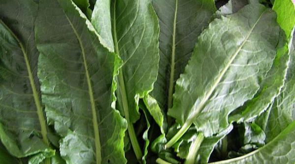 reteta zilei ciorba de stevie de post