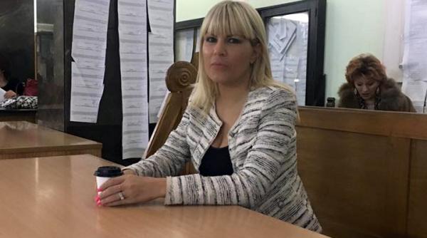 udrea ar putea afla sentinta in dosarul gala bute ce pedeapsa risca fostul ministru