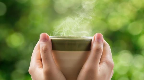 studiu o cana de ceai pe zi tine dementa departe la batranete