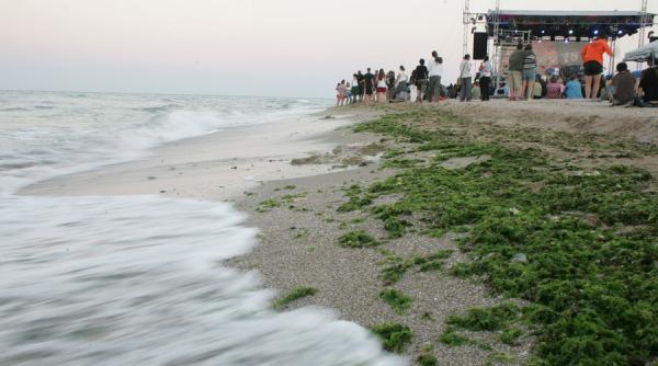 consiliul local limanu omoara vama veche si 2 mai