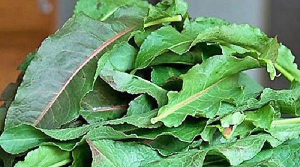 retete romanesti papusi de dragavei