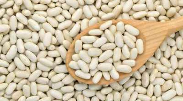 sfaturi pentru agricultori cum cultivam fasolea