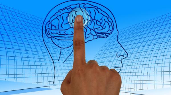 a fost identificata zona din creier afectata de autism studiu