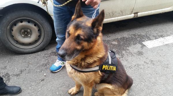 ipj prahova vinde 3 caini politisti ce performante au cainii eroi