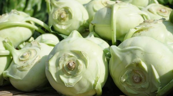 reteta zilei gulii umplute