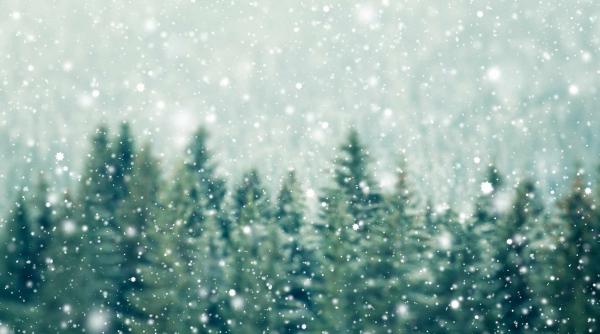 avertizare anm revin ninsorile la munte