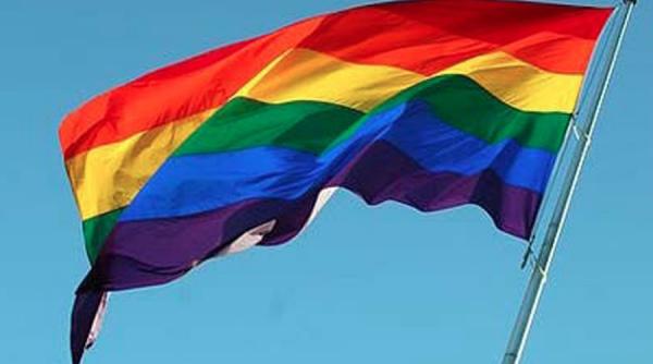 mai multe organizatii cer presedintelui si parlamentului sa consulte comisia de la venetia pe tema redefinirii familiei