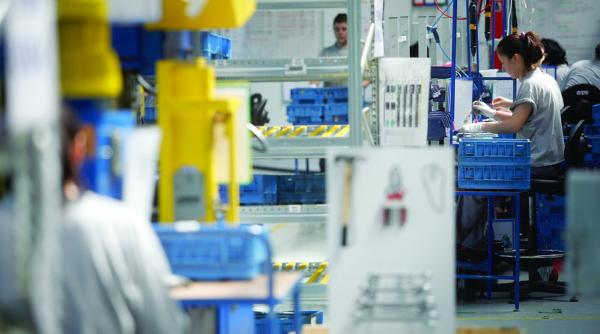 noi si bulgarii am ramas palmasii europei