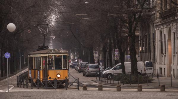 oradenii cu nume de flori circula gratuit duminica cu tramvaiul de epoca