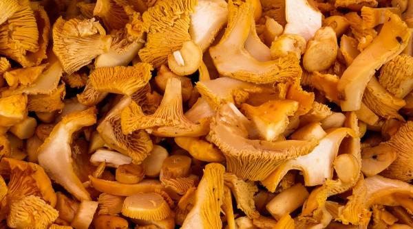 reteta zilei tocanita de ciuperci reteta de post