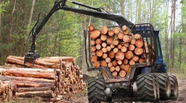 suceava barbat decedat dupa ce a fost calcat de utilajul cu care lucra