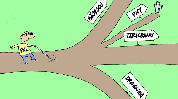 liberalii asteapta schimbarea la fata