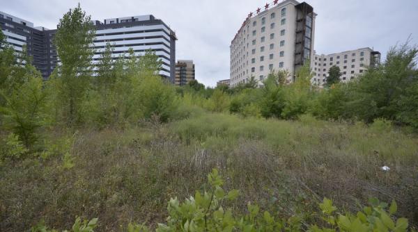 se cauta parcele intre 500 2 000 de mp cu puz uri