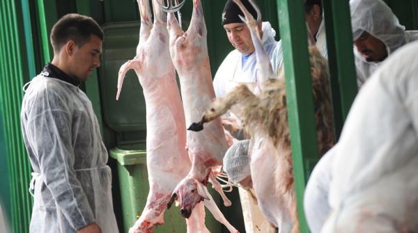 tulcea peste o tona de carne de oaie fara documente de provenienta confiscata de autoritati