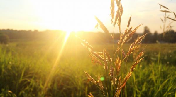 prognoza meteo pentru 14 15 si 16 aprilie cum va fi vremea de paste