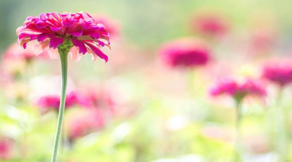 prognoza meteo cum va fi vremea in noaptea de inviere si in prima zi de paste