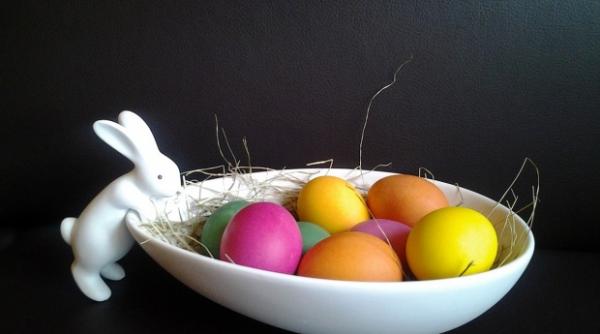 program de paste la antena 3