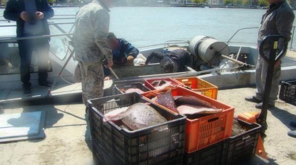 nava din ucraina arestata in apele teritoriale romane pentru pescuit ilegal