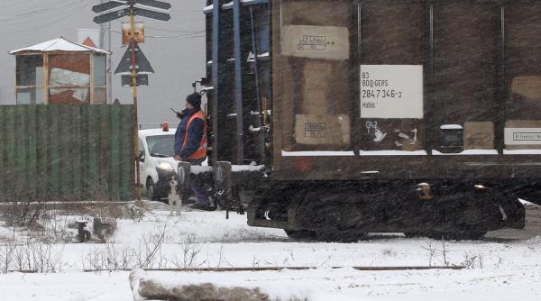 rafic feroviar intrerupt intre timisul de sus si darste linia de contact rupta de copaci prabusiti de vant