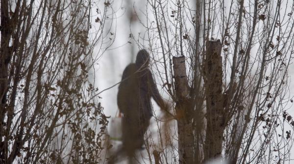 ninsoare distruge productia de fructe in judetul buzau