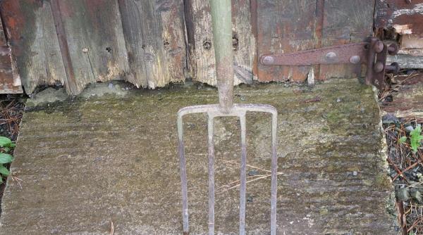 un politist a fost lovit cu o furca de un scandalagiu