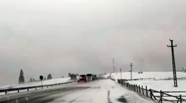 trafic ingreunat din cauza ninsorii arbore prabusit peste un autovehicul in pasul oituz