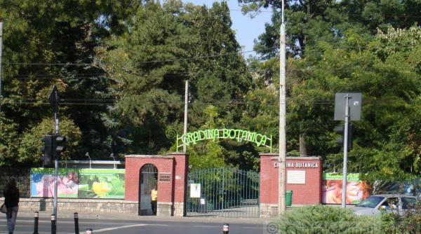 explozie de parfum si culoare in gradinile botanice