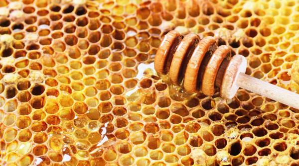 ce produse apicole trebuie sa consumam in functie de sezon