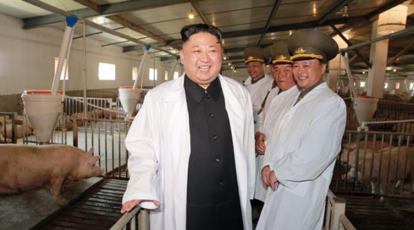galerie foto cu ce se ocupa kim jong un in timp ce lumea tremura in perspectiva unui razboi nuclear