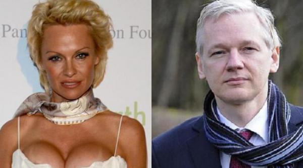 pamela anderson cere frantei sa acorde azil fondatorului wikileaks