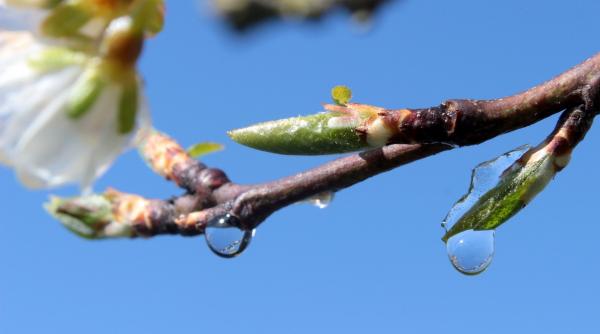prognoza meteo pentru urmatoarele 2 saptamani cum va fi vremea de 1 mai