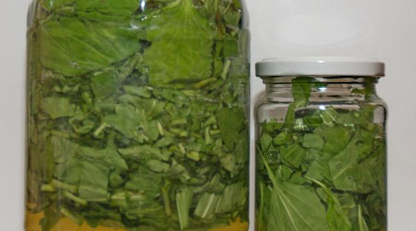 tratamente naturiste cel mai puternic medicament natural