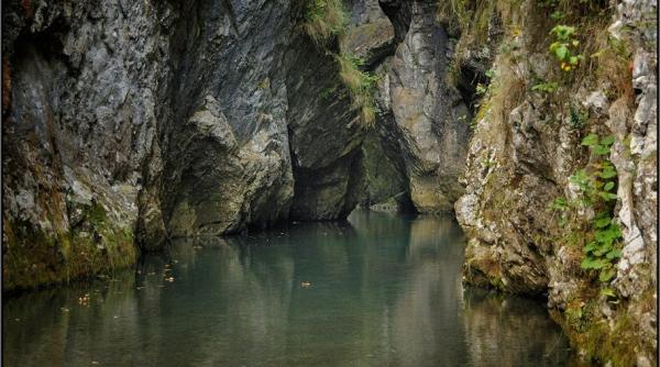 arii protejate ale romaniei platoul mehedinti