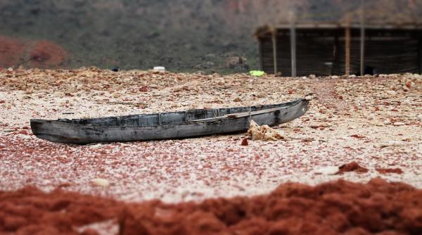 yemen 1 1 miliarde de dolari la conferinta donatorilor pentru tara unde un copil sub 5 ani moare la 10 minute