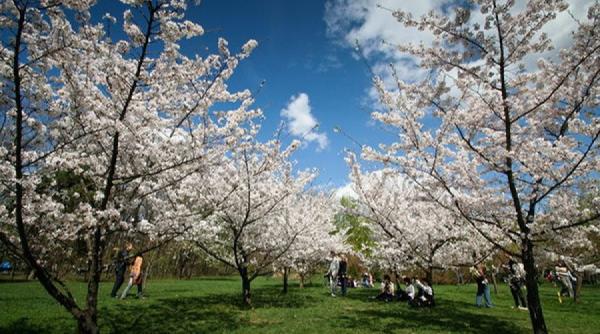 prognoza meteo cum va fi vremea de 1 mai