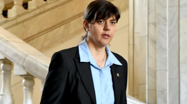 proiectul lui tariceanu in stand by la comisie