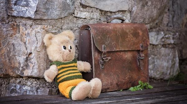 vaslui o fata disparuta de trei zile a fost gasita decedata ea fiind cel mai probabil ucisa