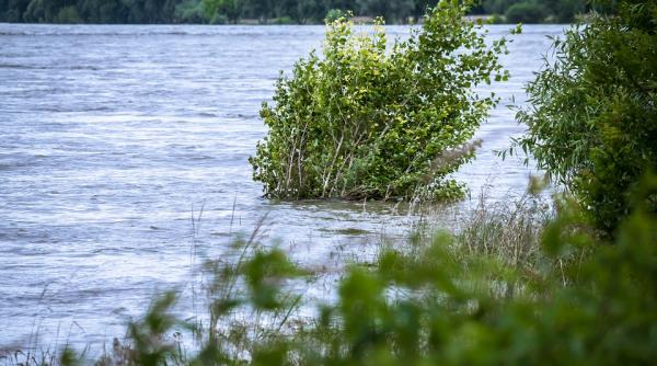 inhga debitele raurilor in crestere in urmatoarele sapte zile