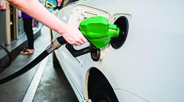 rapita noua cultura vedeta a romaniei