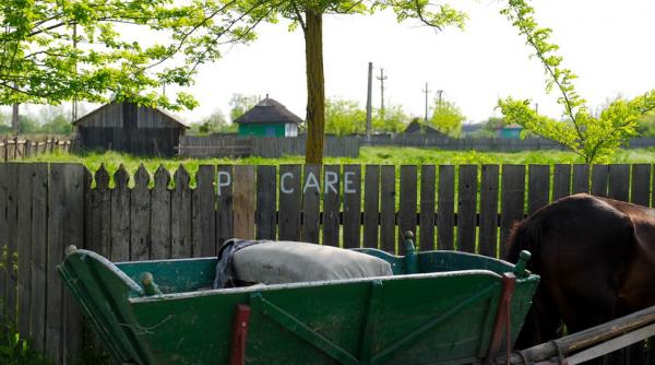 un carutas beat a distrus mai multe masini parcate si a ranit o persoana