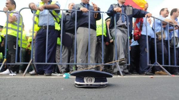 efectul iesi afara javra ordinara romania sat fara caini