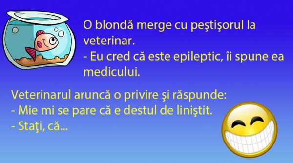 bancul zilei blonda la veterinar