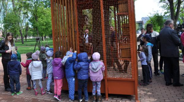 bistritenii vor eliberarea veveritei tinuta captiva intr o voliera din parcul orasului