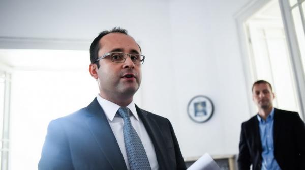 lupul singuratic vs lupii tineri pentru sefia pnl