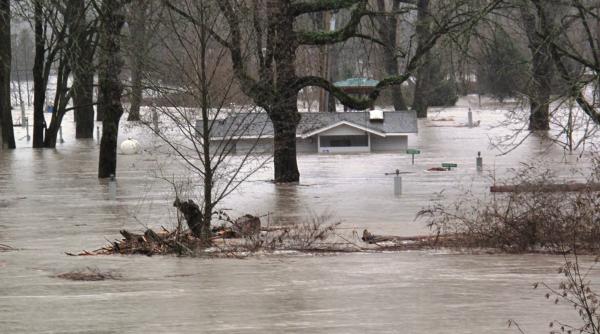 cod galben de inundatii in bacau neamt vrancea harghita si covasna