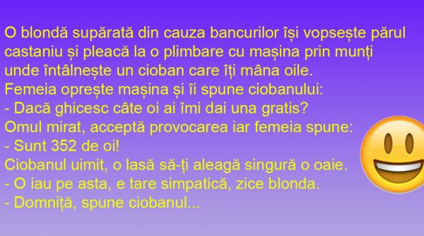 bancul zilei blonda ciobanul si cele 352 de oi